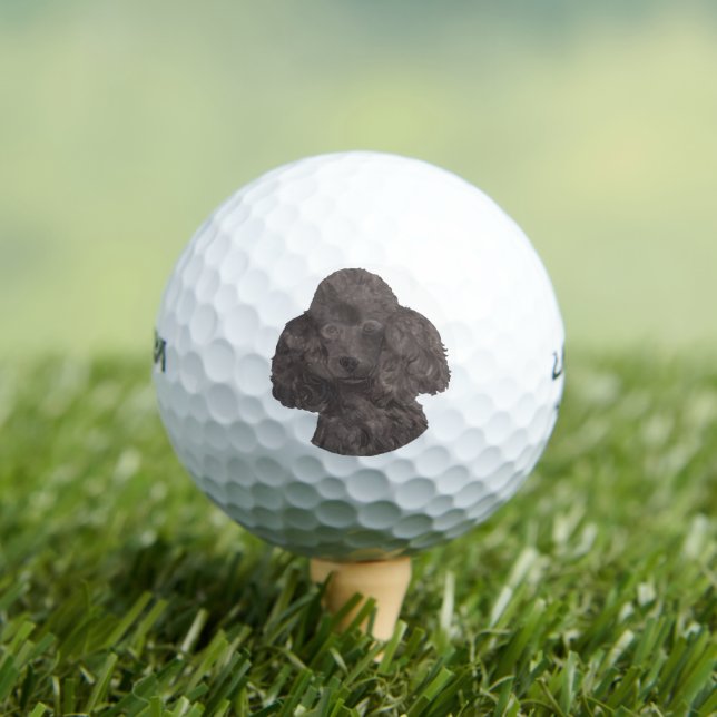 Balles De Golf Poodle noir (T-shirt Insitu)