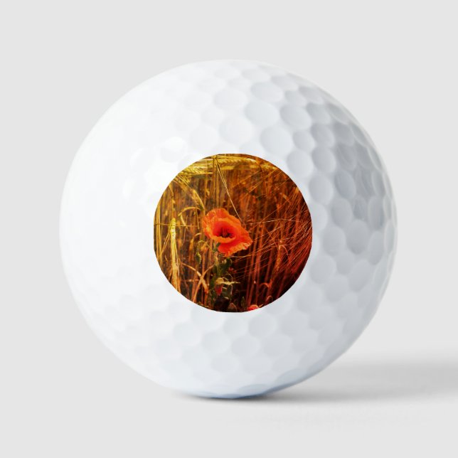 Balles De Golf Populaire Rouge Dans Le Domaine Du Blé D'Or Action (Recto)