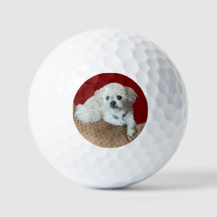 Balles De Golf Portez le Malshi