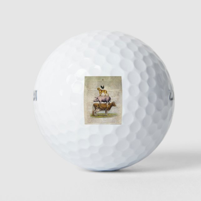 Balles De Golf Poste de ferme NOB10 A1.tif (Devant)