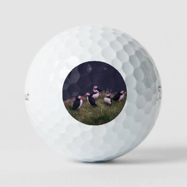 Balles De Golf Puffins de l'Atlantique (Recto)