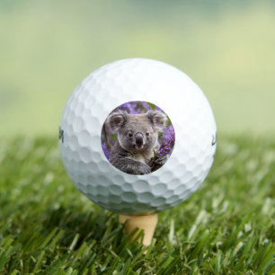 Balles De Golf Purple Jacaranda Koala Ours,