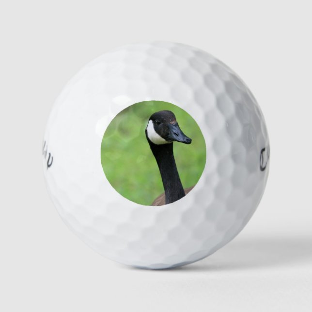 Balles De Golf Quoi ? (Devant)