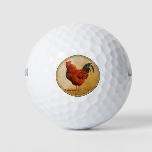 Balles De Golf Rooster chicken de Rhode Island