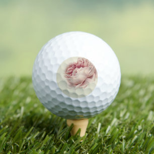 Balles De Golf Rose Roos (1792) – Botanique Ancienne de Rêve de J