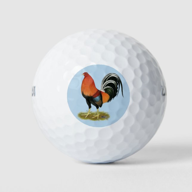 Balles De Golf Roster de Gamecock Wheaten (Devant)