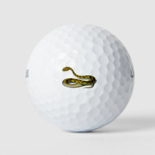 Balles De Golf Saharan horned Viper illustration