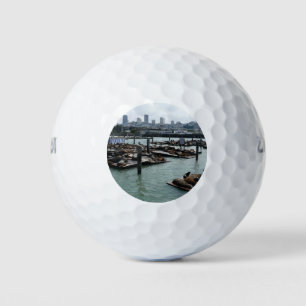 Balles De Golf San Francisco et Pier 39 Sea Lions City Skyline
