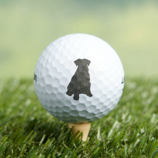 Balles De Golf Schnauzer noir personnalisé (T-shirt Insitu)
