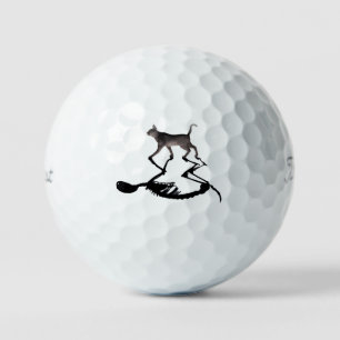 Balles De Golf Schrodinger Cat Titmost Pro 3 pack