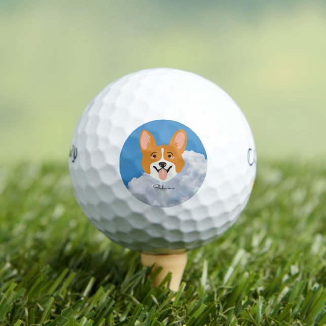Balles De Golf Shiba inu avec Sky Golf Balls (T-shirt Insitu)