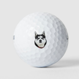 Balles De Golf Sibérien Husky Semble En Colère