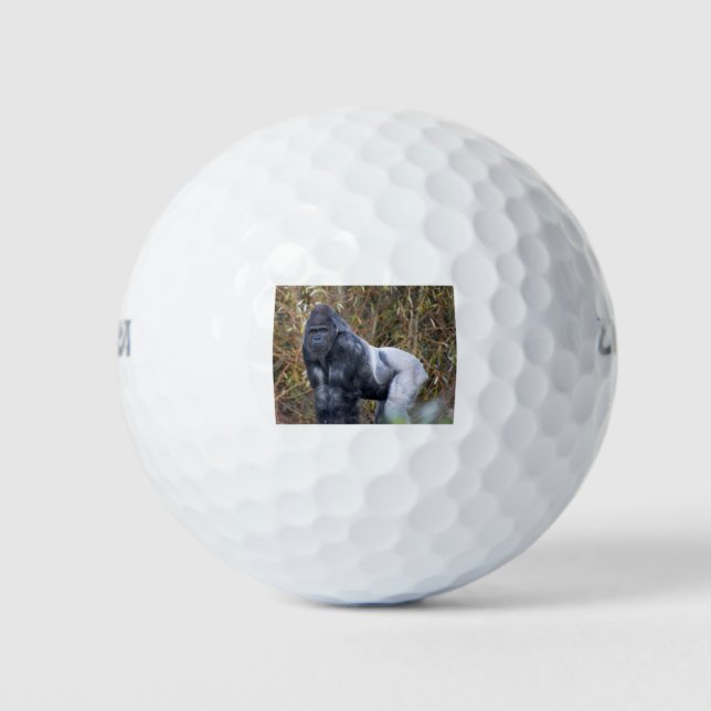 Balles De Golf Silverback (Devant)