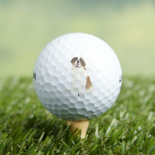 Balles De Golf St. Bernard