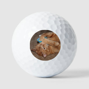 Balles De Golf Tater