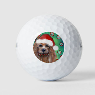 BALLES DE GOLF TERRIER AUSTRALIEN