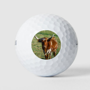 Balles De Golf Texas Longhorn Cattle Cow Photo Russe 