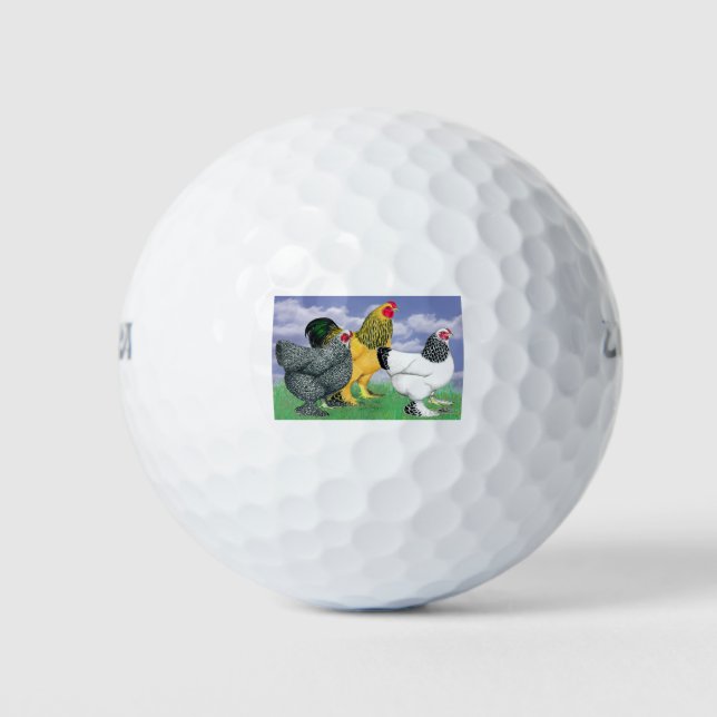 Balles De Golf Three Brahmas (Devant)