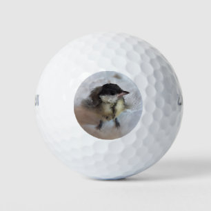 Balles De Golf Tidi my Bird le Parus Major