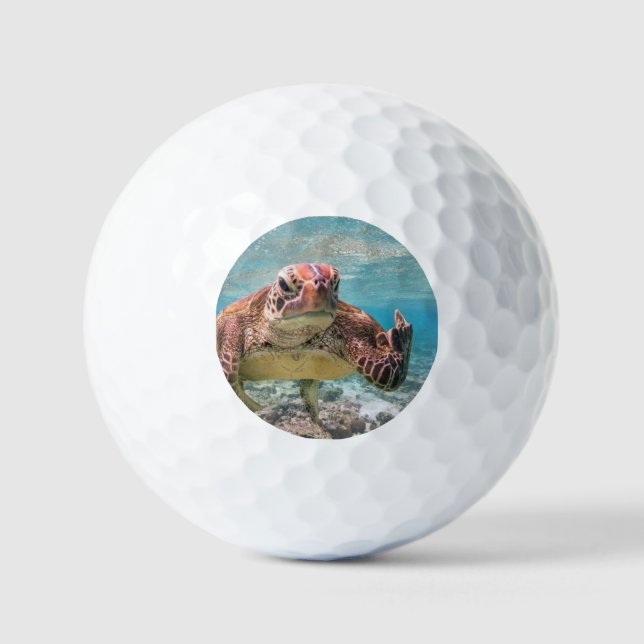 Balles De Golf Tortue en colère (Recto)