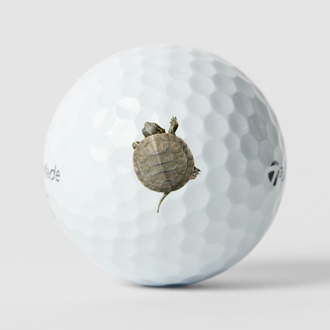 Balles De Golf Tortue minuscule (Tortue) (Recto)