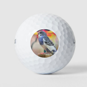 Balles De Golf Touche