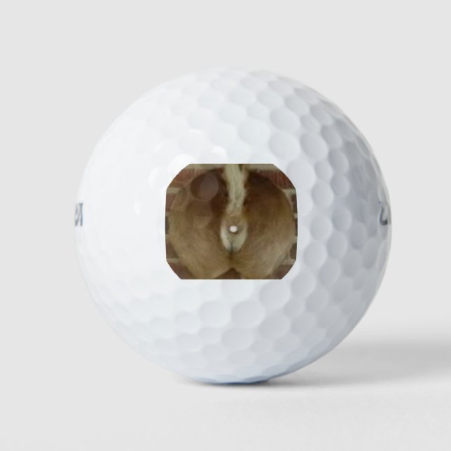 Balles De Golf Trophée de cerf Balls de golf (Devant)