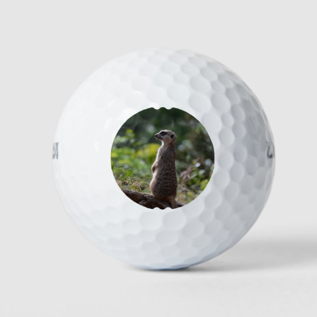 Balles De Golf Wild Meerkat (Devant)