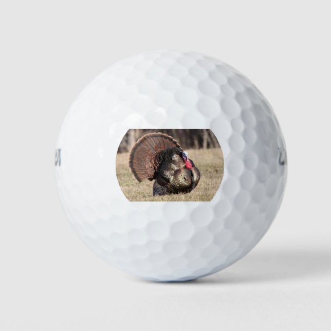 Balles De Golf Wilson Golf Balls avec Tom Turkey (Devant)