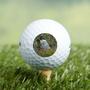 Balles De Golf Woodstork Florida Wetlands Photo