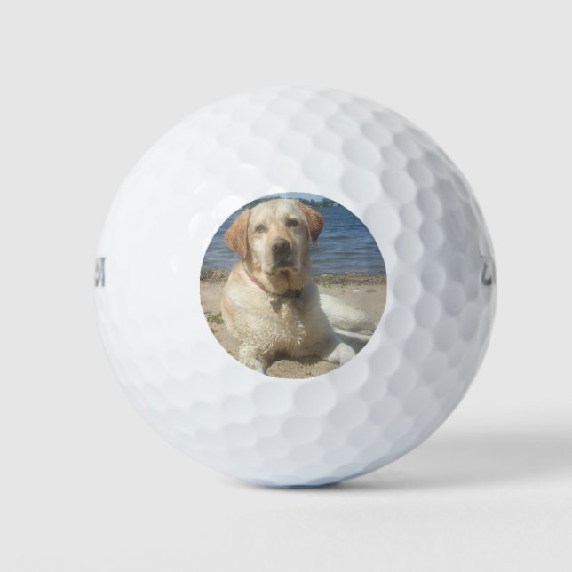 Balles De Golf Yellow Labrador Retriever (Devant)