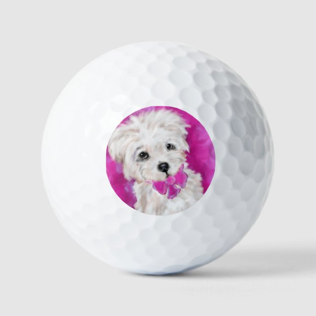 BALLES DE GOLF YORKIE POO (Recto)