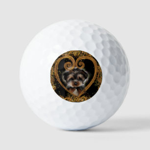 Balles De Golf Yorkie Poo