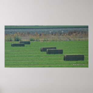 Balles de Hay II - Impression photo
