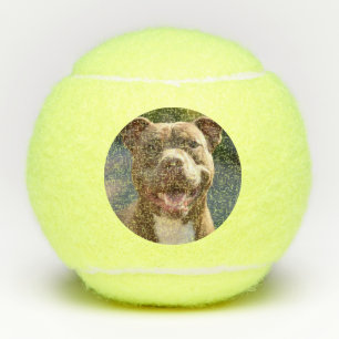 Balles De Tennis Ajouter une Personnaliser photo Pit Bull