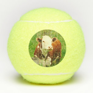 Balles De Tennis Animaux de ferme de poulet de vache 4Robin