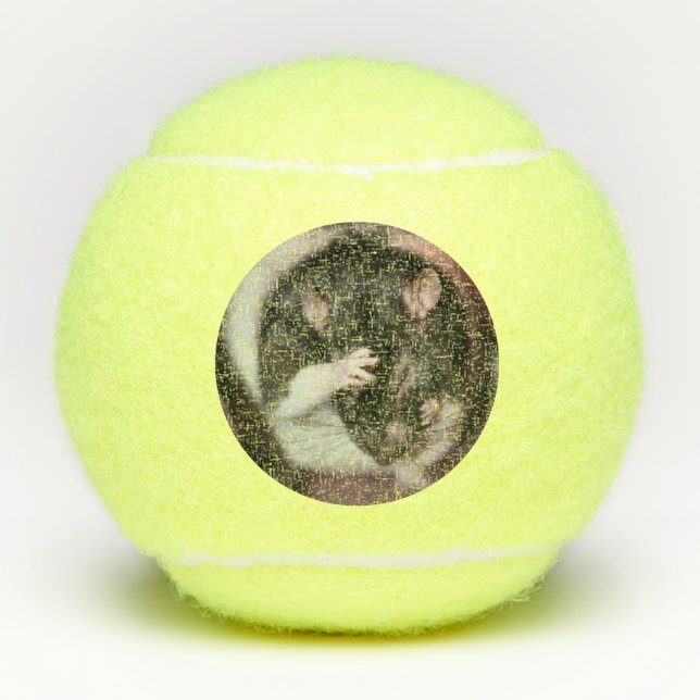 Balles De Tennis Casque (Devant)