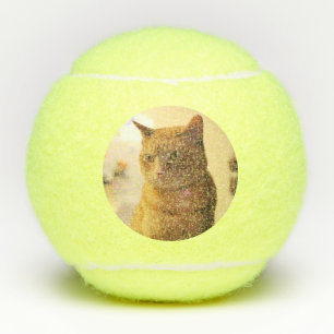 Balles De Tennis Cat