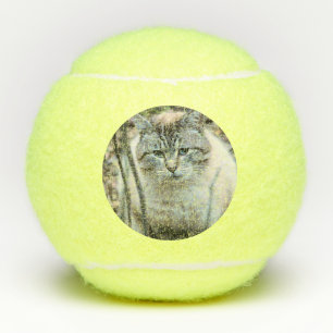 Balles De Tennis Cat