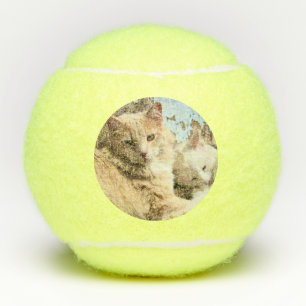 Balles De Tennis Chats