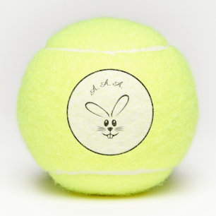 BALLES DE TENNIS de championnat de PENN