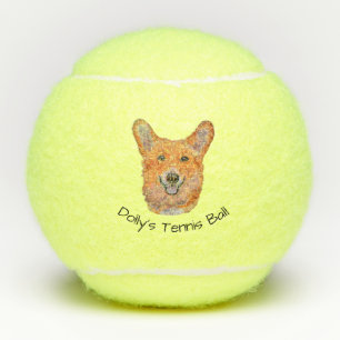 Balles de tennis de Corgi Penn souriantes
