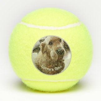 Balles De Tennis Joueur de noms de photos de chien de compagnie