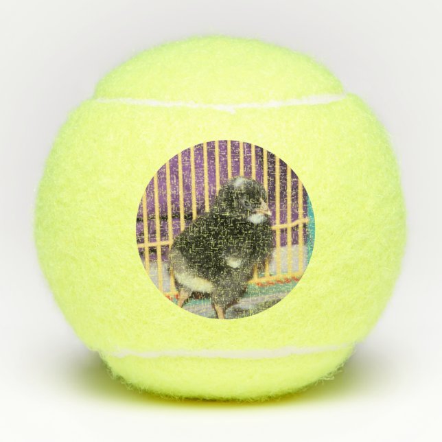 Balles De Tennis Pep (Devant)