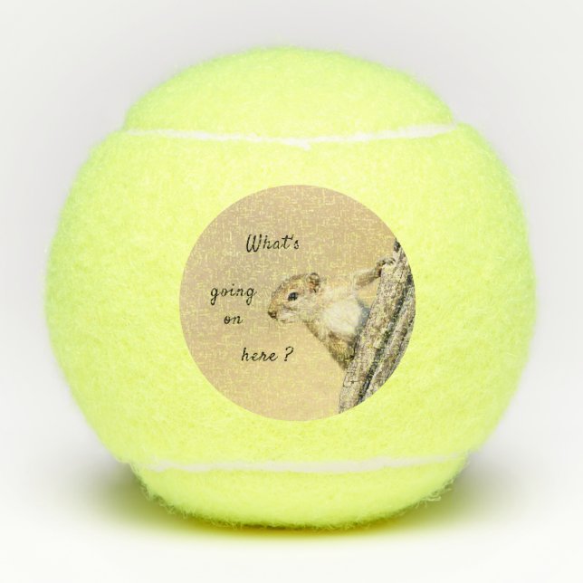 Balles De Tennis Photo Nosy et mignonne d'écureuil d'arbre (Devant)