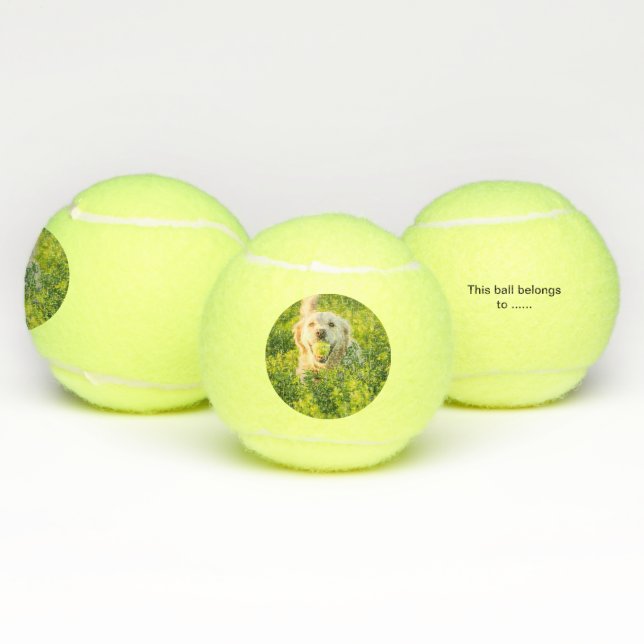 Balles De Tennis Tennis ball pour chien avec photo et nom (Multiple)
