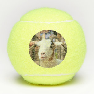 Balles De Tennis Votre appareil photo a l'air savoureux
