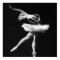 Ballet Cuba Print