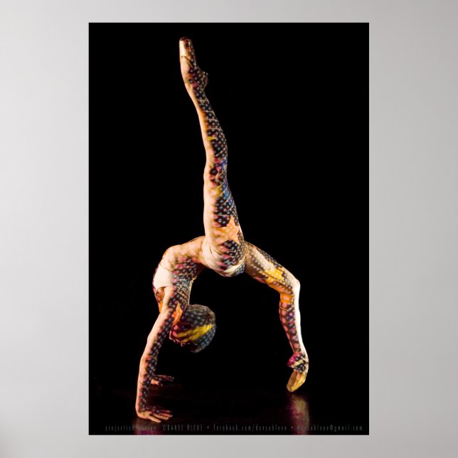 Ballet Dancer-4567XLG Poster (Front)