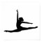Ballet Dancer Ballerina